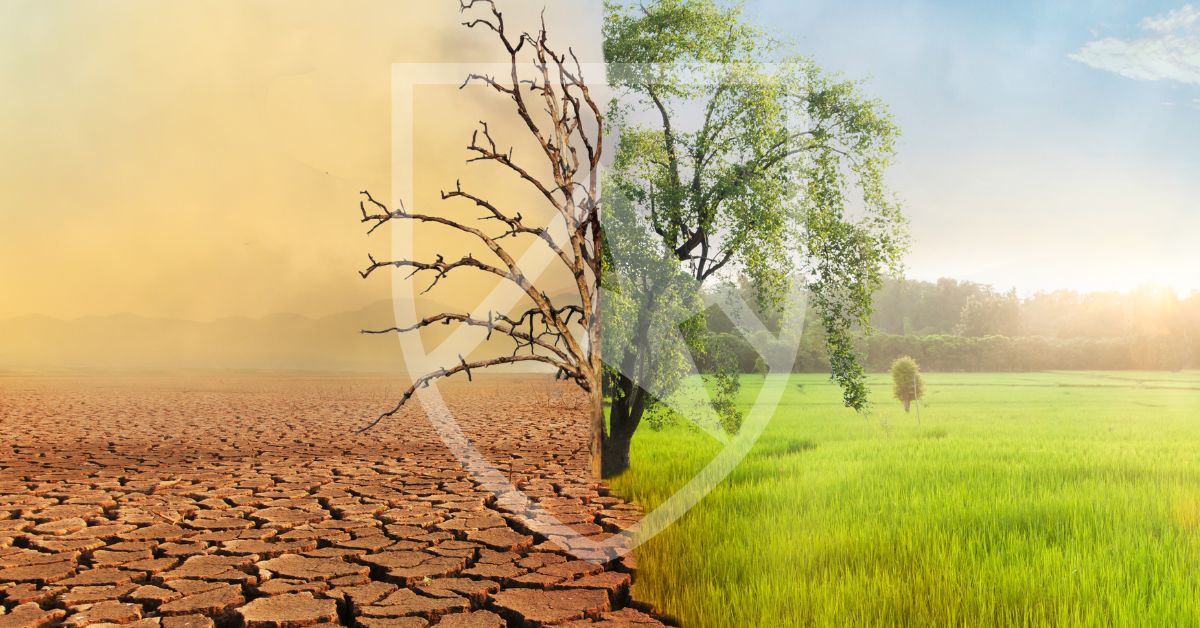 Climate Change - Crestmont Group