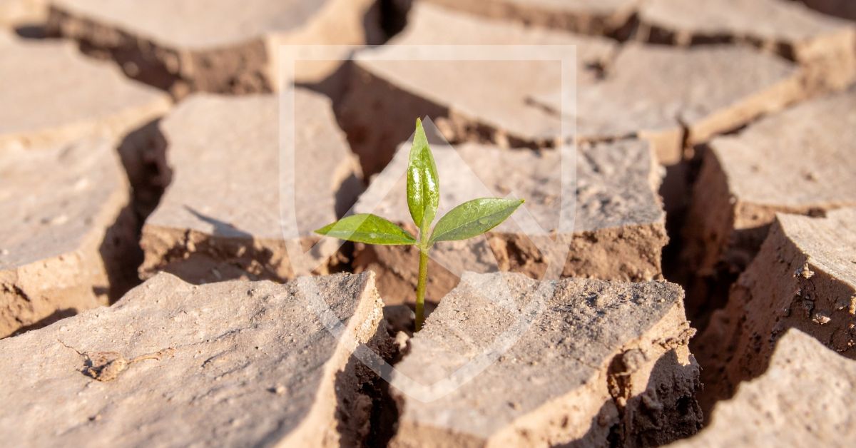 Resilient Portfolio - Crestmont Group