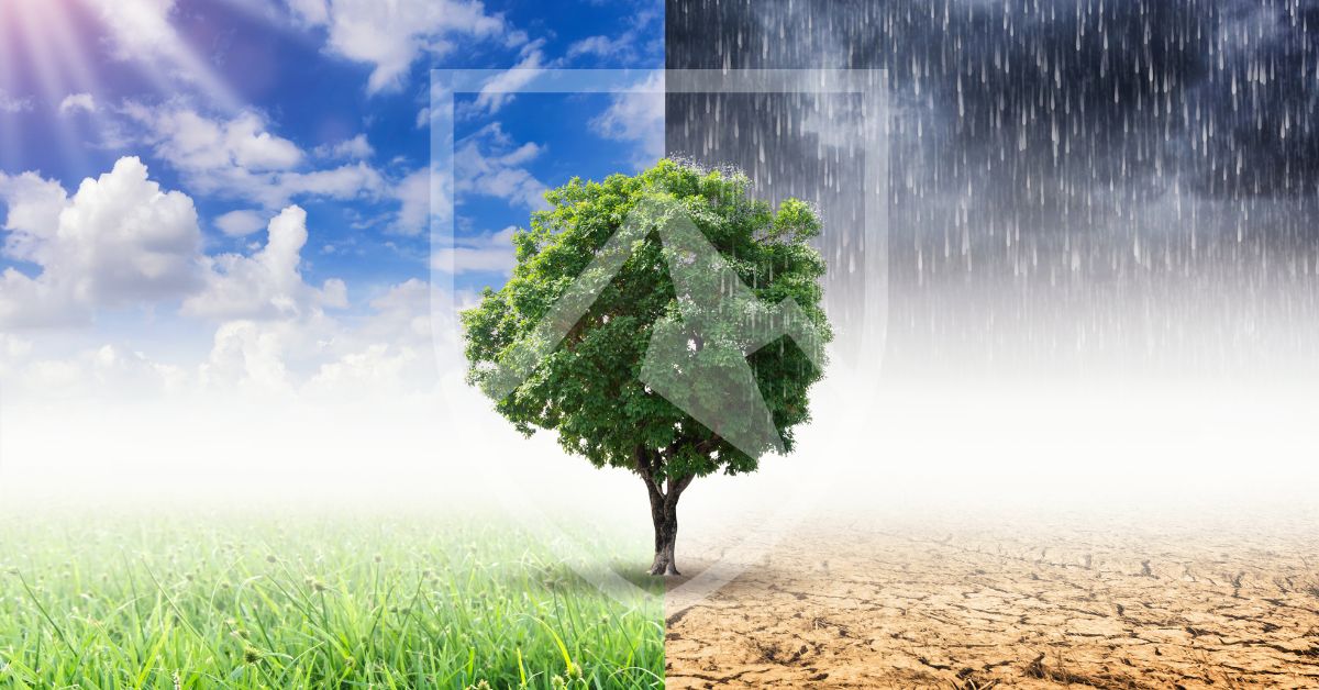 Climate Change Trade Finance - Crestmont Group