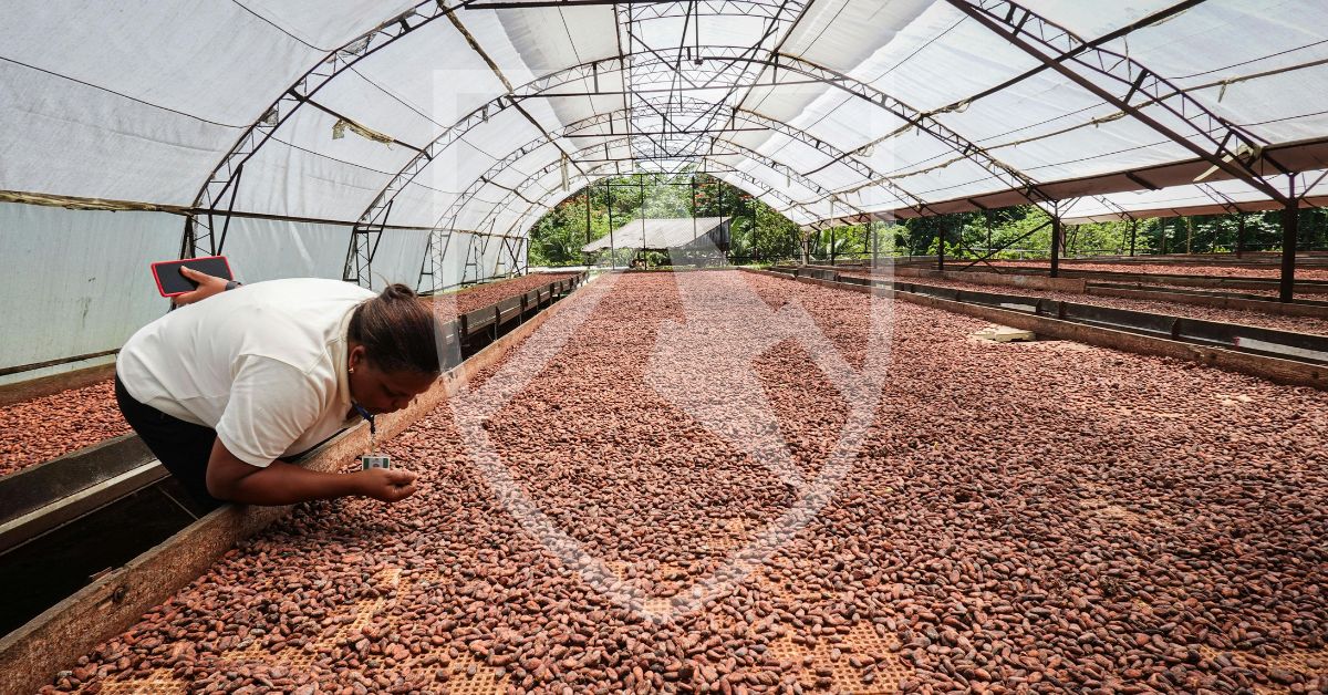 Soft Commodities Price Volatility - Crestmont Group